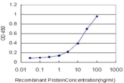 ELISA: Smoothened Antibody (2F8) [H00006608-M07] - Detection limit for recombinant GST tagged SMO is approximately 0.3ng/ml as a capture antibody.