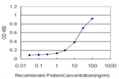 ELISA: Smoothened Antibody (3G8) [H00006608-M06] - Detection limit for recombinant GST tagged SMO is approximately 0.3ng/ml as a capture antibody.