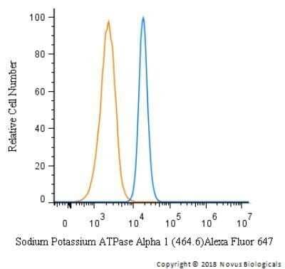 Flow Cytometry: Sodium Potassium ATPase Alpha 1 Antibody (464.6) - Azide and BSA Free [NBP2-80956] - An intracellular stain was performed on A549 cells with NBP2-61137AF647 (Blue) and a matched isotype control (Orange). Cells were fixed with 4% PFA and then permeabilized with 0.1% saponin. Cells were incubated in an antibody dilution of 2.5 ug/mL for 30 minutes at room temperature. Both antibodies were directly conjugated to Alexa Fluor 647. Image using the Alexa Fluor 647 form of this antibody.