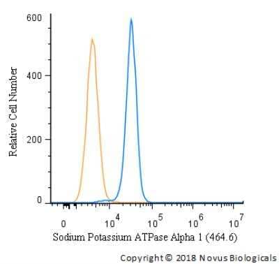 Flow Cytometry: Sodium Potassium ATPase Alpha 1 Antibody (464.6) - Purified [NBP2-61137] - An intracellular stain was performed on A549 cells with  - Purified NBP2-61137 and a matched isotype control. Cells were fixed with 4% PFA and then permeablized with 0.1% saponin. Cells were incubated in an antibody dilution of 1 ug/mL for 30 minutes at room temperature, followed by mouse F(ab)2 IgG (H+L) APC-conjugated secondary antibody (F0101B, R&D Systems). Image using the Purified form of this antibody.