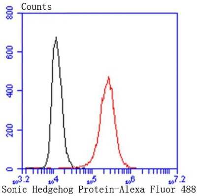 Flow Cytometry: Sonic Hedgehog/Shh Antibody (SC05-28) [NBP2-67603] - Analysis of Hela cells with Sonic Hedgehog Protein antibody at 1/50 dilution (red) compared with an unlabelled control (cells without incubation with primary antibody; black). Alexa Fluor 488-conjugated goat anti rabbit IgG was used as the secondary antib