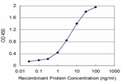 Sandwich ELISA: Sorbitol Dehydrogenase Antibody (2B8) [H00006652-M02] - Detection limit for recombinant GST tagged SORD is approximately 0.1ng/ml as a capture antibody.