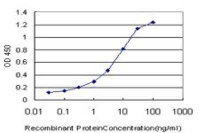 ELISA: Sorbitol Dehydrogenase Antibody (4D3) [H00006652-M01] - Detection limit for recombinant GST tagged SORD is approximately 0.1ng/ml as a capture antibody.