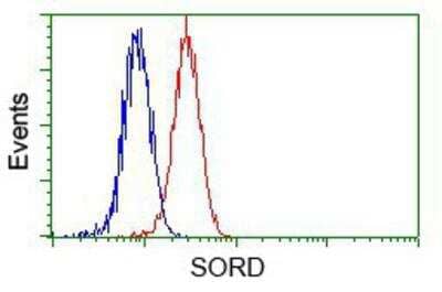 Flow Cytometry: Sorbitol Dehydrogenase Antibody (9E7) [NBP2-02126] - Analysis of Hela cells, using anti-Sorbitol Dehydrogenase antibody, (Red) compared to a nonspecific negative control antibody (Blue).