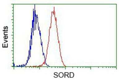 Flow Cytometry: Sorbitol Dehydrogenase Antibody (9E7) [NBP2-02126] - Analysis of Jurkat cells, using anti-Sorbitol Dehydrogenase antibody, (Red) compared to a nonspecific negative control antibody (Blue).