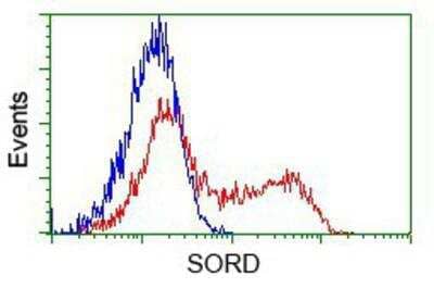 Flow Cytometry: Sorbitol Dehydrogenase Antibody (9E7) [NBP2-02126] - HEK293T cells transfected with either pCMV6-ENTRY Sorbitol Dehydrogenase.(Red) or empty vector control plasmid (Blue) were immunostained with anti-Sorbitol Dehydrogenase mouse monoclonal, and then analyzed by flow cytometry.