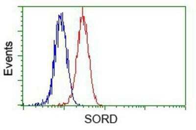 Flow Cytometry: Sorbitol Dehydrogenase Antibody (OTI9E7) - Azide and BSA Free [NBP2-74288] - Analysis of Hela cells, using anti-Sorbitol Dehydrogenase antibody, (Red) compared to a nonspecific negative control antibody (Blue).