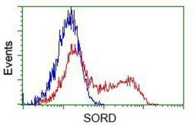 Flow Cytometry: Sorbitol Dehydrogenase Antibody (OTI9E7) - Azide and BSA Free [NBP2-74288] - HEK293T cells transfected with either pCMV6-ENTRY Sorbitol Dehydrogenase.(Red) or empty vector control plasmid (Blue) were immunostaining with anti-Sorbitol Dehydrogenase mouse monoclonal, and then analyzed by flow cytometry.