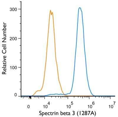 Flow (Intracellular): Spectrin beta 3 Antibody (1287A) [NBP2-59668] - An intracellular stain was performed on HeLa Cells with Spectrin beta 3 (1287A) antibody NBP2-59668 (blue) and a matched isotype control MAB1050 (orange). Cells were fixed with 4% paraformaldehyde, following fixation, cells were permeabilized with 0.1% saponin. Cells were incubated in an antibody dilution of 1 ug/mL for 30 minutes at room temperature, followed by rabbit IgG APC-conjugated secondary antibody (F0111, R&D Systems).