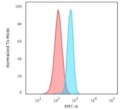 Flow Cytometry: Spectrin beta 3 Antibody (SPTBN2/1582) - Azide and BSA Free [NBP2-54488] - Flow Cytometric Analysis of HeLa cells using Spectrin beta 3 Antibody (SPTBN2/1582). Goat anti-Mouse IgG-CF488 (Blue); Isotype Control (Red).