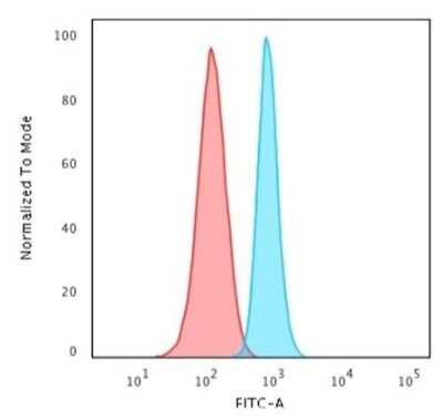 Flow Cytometry: Spectrin beta 3 Antibody (SPTBN2/1583) - Azide and BSA Free [NBP2-54440] - Flow Cytometric Analysis of HeLa cells. Spectrin beta 3 Antibody (SPTBN2/1583) labeled with CF488 followed by Goat anti-Mouse IgG-CF488 (Blue); Isotype Control (Red).