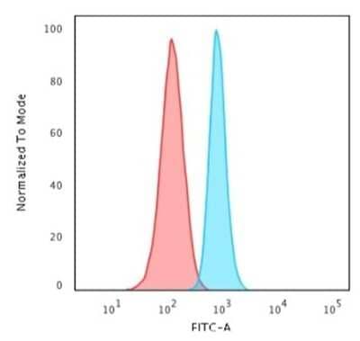 Flow Cytometry: Spectrin beta 3 Antibody (SPTBN2/1583) [NBP2-53312] - Flow Cytometric Analysis of HeLa cells. Spectrin beta 3 Antibody (SPTBN2/1583) labeled with CF488 followed by Goat anti-Mouse IgG-CF488 (Blue); Isotype Control (Red).