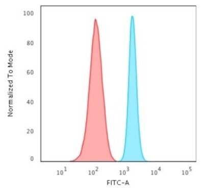 Flow Cytometry: Spectrin beta 3 Antibody (SPTBN2/2887R) - Azide and BSA Free [NBP3-08441] - Flow Cytometric Analysis of HeLa cells using Spectrin beta 3 Rabbit Recombinant Monoclonal Antibody (SPTBN2/2887R) followed by Goat anti-rabbit IgG-CF488 (Blue); Isotype Control (Red).