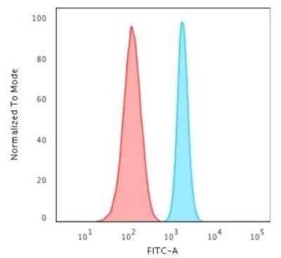 Flow Cytometry: Spectrin beta 3 Antibody (SPTBN2/2887R) [NBP3-07293] - Flow Cytometric Analysis of HeLa cells using Spectrin beta 3 Rabbit Recombinant Monoclonal Antibody (SPTBN2/2887R) followed by Goat anti-rabbit IgG-CF488 (Blue); Isotype Control (Red).