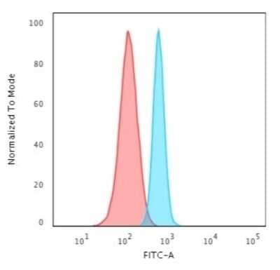 Flow Cytometry: Spectrin beta 3 Antibody (SPTBN2/3142R) - Azide and BSA Free [NBP3-08442] - Flow Cytometric Analysis of HeLa cells using Spectrin beta 3 Recombinant Rabbit Monoclonal (SPTBN2/3142R) followed by Goat anti-rabbit IgG-CF488 (Blue); Isotype Control (Red).