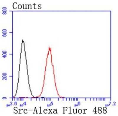 Flow Cytometry: Src Antibody (JF0947) [NBP2-67167] - Analysis of NIH/3T3 cells with Src antibody at 1/50 dilution (red) compared with an unlabelled control (cells without incubation with primary antibody; black). Alexa Fluor 488-conjugated goat anti rabbit IgG was used as the secondary antibody