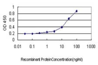 Sandwich ELISA: Staufen Antibody (1E7) [H00006780-M02] - Detection limit for recombinant GST tagged STAU1 is approximately 0.3ng/ml as a capture antibody.