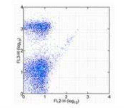 Flow Cytometry Streptavidin Native Protein