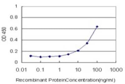 Sandwich ELISA: Sulfatase Modifying Factor 2/SUMF2 Antibody (4B3) [H00025870-M02] - Detection limit for recombinant GST tagged SUMF2 is approximately 3ng/ml as a capture antibody.