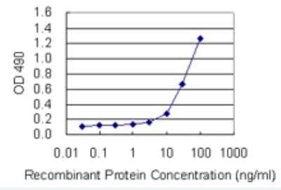 Sandwich ELISA Surfactant Protein A Antibody Pair