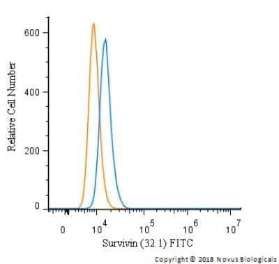 Flow Cytometry: Survivin Antibody (32.1) - Azide and BSA Free [NBP2-80968] - An intracellular stain was performed on HeLa cells with FITC-conjugated Survivin Antibody (32.1) [NB500-237F] (blue) and a matched isotype control (orange). Cells were fixed with 4% PFA and then permeabilized with 0.1% saponin. Cells were incubated in an antibody dilution of 10 ug/mL for 30 minutes at room temperature. Both antibodies were directly conjugated to FITC.