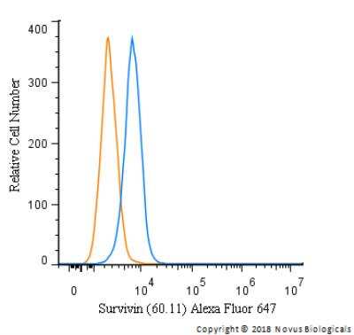 Flow Cytometry: Survivin Antibody (60.11) [Alexa Fluor® 647] [NB500-238AF647] - An intracellular stain was performed on HeLa cells with Survivin Antibody (60.11) [Alexa Fluor® 647] [NB500-238AF647] (blue) and a matched isotype control (orange). Cells were fixed with 4% PFA and then permeabilized with 0.1% saponin. Cells were incubated in an antibody dilution of 5 ug/mL for 30 minutes at room temperature. Both antibodies were conjugated to Alexa Fluor 647.