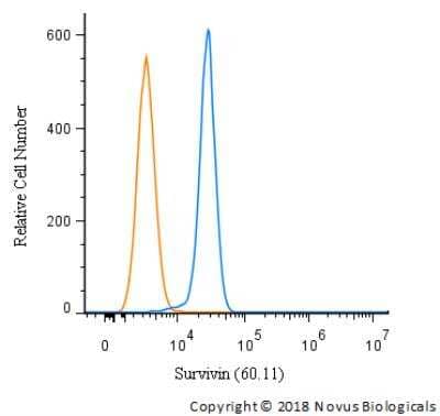 Flow Cytometry: Survivin Antibody (60.11) - Unpurified [NB500-205] - An intracellular stain was performed on A549 cells with Survivin Antibody (60.11) - Unpurified [NB500-205] and a matched isotype control. Cells were fixed with 4% PFA and then permeablized with 0.1% saponin. Cells were incubated in an antibody dilution of 1 ug/mL for 30 minutes at room temperature, followed by mouse F(ab)2 IgG (H+L) APC-conjugated secondary antibody (F0101B, R&D Systems).