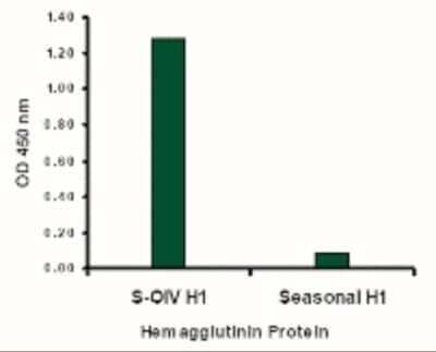 ELISA: Swine Influenza A H1N1 Hemagglutinin Antibody - BSA Free [NBP2-41105] - Swine-origin Hemagglutinin antibody at 2 ug/mL specifically recognizes swine-origin influenza virus (S-OIV) A H1N1 but not seasonal influenza virus A H1N1 Hemagglutinin protein.