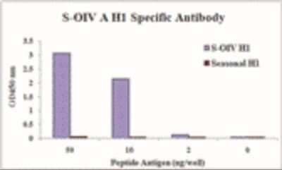 ELISA: Swine Influenza A H1N1 Hemagglutinin Antibody (3E9H5) - BSA Free [NBP2-41329] - Antibody specifically recognizes S-OIV H1 peptide, and does not cross-react with peptide corresponding to seasonal influenza A H1 in ELISA.