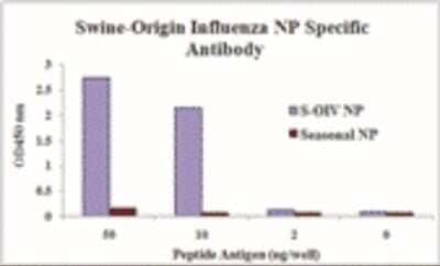 ELISA: Swine Influenza A H1N1 Nucleocapsid Antibody - BSA Free [NBP2-41072] - Swine Influenza A H1N1 Nucleocapsid antibody specifically recognizes swine-origin influenza virus (S-OIV) A H1N1 but not seasonal influenza virus A H1N1 Nucleocapsid protein.