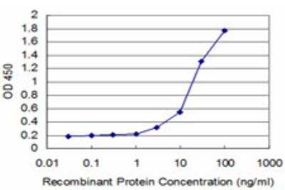 ELISA: Synapsin I Antibody (3H6) [H00006853-M04] - Detection limit for recombinant GST tagged SYN1 is approximately 1ng/ml as a capture antibody.