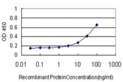Sandwich ELISA: Synapsin I Antibody (4H1) [H00006853-M07] - Detection limit for recombinant GST tagged SYN1 is approximately 3ng/ml as a capture antibody.