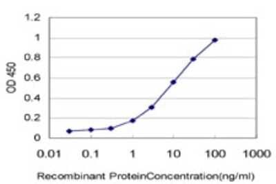 ELISA: Synaptojanin 1 Antibody (1A2) [H00008867-M01] - Detection limit for recombinant GST tagged SYNJ1 is approximately 0.3ng/ml as a capture antibody.