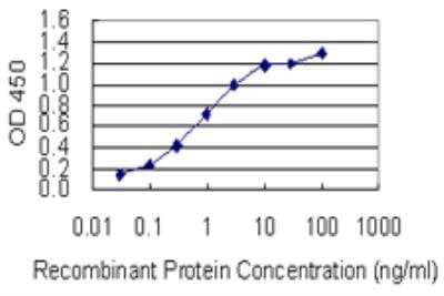 ELISA: Synaptotagmin 13 Antibody (1H3) [H00057586-M04-100ug] - Detection limit for recombinant GST tagged Synaptotagmin 13 is 0.03 ng/ml as a capture antibody.