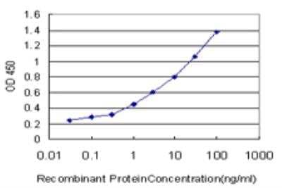 ELISA: Synaptotagmin 4 Antibody (5F8) [H00006860-M04] - Detection limit for recombinant GST tagged SYT4 is approximately 0.03ng/ml as a capture antibody.