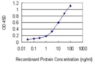 Sandwich ELISA: Syntaxin 8 Antibody (2H1-1D11) [H00009482-M01] - Detection limit for recombinant GST tagged STX8 is 0.1 ng/ml as a capture antibody.