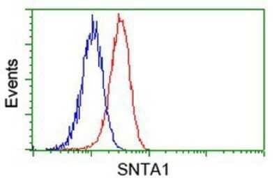 Flow Cytometry: Syntrophin alpha 1 Antibody (OTI1H10) - Azide and BSA Free [NBP2-74422] - Analysis of Hela cells, using anti-Syntrophin alpha 1 antibody, (Red), compared to a nonspecific negative control antibody (Blue).