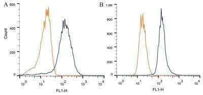 Flow Cytometry: alpha-Synuclein [Nitrate Tyr125, Nitrate Tyr133] Antibody (24.8) [NBP1-26380] - Intracellular flow cytometric staining of 1 x 10^6 CHO (A) and HeLa (B) cells using Synuclein-alpha  [Nitrate Tyr125, Nitrate Tyr133] antibody (dark blue). Isotype control shown in orange. An antibody concentration of 1 ug/1x10^6 cells was used.