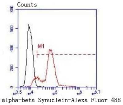 Flow Cytometry: Synuclein alpha/beta Antibody (ST05-21) [NBP2-67537] - Analysis of Hela cells with alpha+beta Synuclein antibody at 1/50 dilution (red) compared with an unlabelled control (cells without incubation with primary antibody; black). Alexa Fluor 488-conjugated goat anti rabbit IgG was used as the secondary antibod