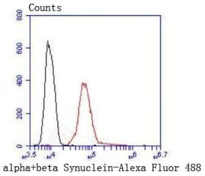 Flow Cytometry: Synuclein alpha/beta Antibody (ST05-21) [NBP2-67537] - Flow cytometric analysis of Synuclein alpha/beta was done on Hela cells. The cells were fixed, permeabilized and stained with the primary antibody (1/50) (red). After incubation of the primary antibody at room temperature for an hour, the cells were stained with a Alexa Fluor 488-conjugated Goat anti-Rabbit IgG Secondary antibody at 1/1000 dilution for 30 minutes. Unlabeled sample was used as a control (cells without incubation with primary antibody; black).
