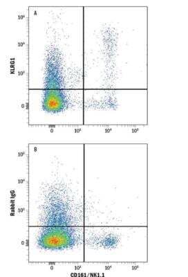 Flow Cytometry: T Cell Exhaustion Marker (Flow) - Mouse splenocytes were stained with Rat Anti-Mouse CD161/NK1.1 APC-conjugated Monoclonal Antibody (Catalog#: FAB7614A) and either (A) Rabbit Anti-Mouse KLRG1 Monoclonal Antibody (Catalog# MAB6944or (B) Normal Rabbit IgG Control (Catalog# AB-105-C) followed by Phycoerythrin-conjugated Anti-Rabbit IgG Secondary Antibody (Catalog# F0110) at 10 uL/10^6 cells.