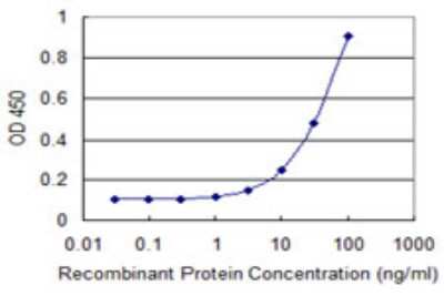 ELISA: T-bet/TBX21 Antibody (1F4) [H00030009-M05] - Detection limit for recombinant GST tagged TBX21 is 1 ng/ml as a capture antibody.