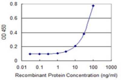 ELISA: T-bet/TBX21 Antibody (4F8) [H00030009-M01] - Detection limit for recombinant GST tagged TBX21 is 1 ng/ml as a capture antibody.
