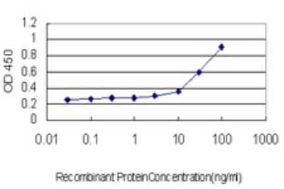 ELISA: TACE/ADAM17 Antibody (1F6) [H00006868-M01] - Detection limit for recombinant GST tagged ADAM17 is approximately 3ng/ml as a capture antibody.