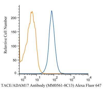 Flow Cytometry: TACE/ADAM17 Antibody (MM0561-8C13) [Alexa Fluor (R) 647] [NBP2-12018AF647] - A cell surface stain was performed on THP-1 cells with TACE/ADAM17 antibody NBP2-12018AF647 (blue) along with a matched isotype control NBP2-27287AF647 (orange). Cells were incubated in an antibody dilution of 2 ug/mL for 20 minutes at RT.