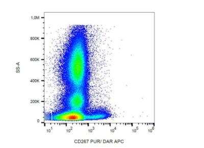 Flow Cytometry: TACI/TNFRSF13B/CVID Antibody (1A1) [NBP3-09143] - Analysis (surface staining) of human peripheral blood with anti-human CD267 (1A1) purified, DAR-APC.