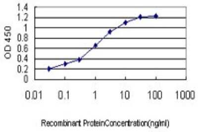 Sandwich ELISA: TAF11 Antibody (3E7) [H00006882-M07] - Detection limit for recombinant GST tagged TAF11 is approximately 0.03ng/ml as a capture antibody.