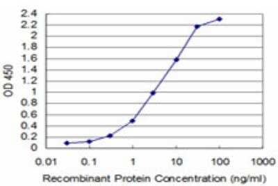 ELISA: TAF11 Antibody (3G6) [H00006882-M06] - Detection limit for recombinant GST tagged TAF11 is approximately 0.1ng/ml as a capture antibody.