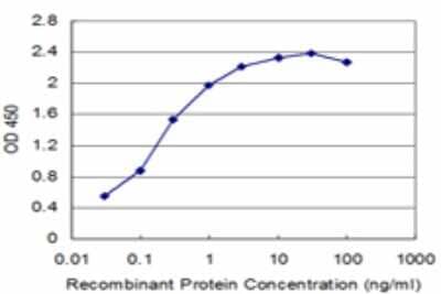 Sandwich ELISA: TAL2 Antibody (1G6) [H00006887-M01] - Detection limit for recombinant GST tagged TAL2 is approximately 0.03ng/ml as a capture antibody.