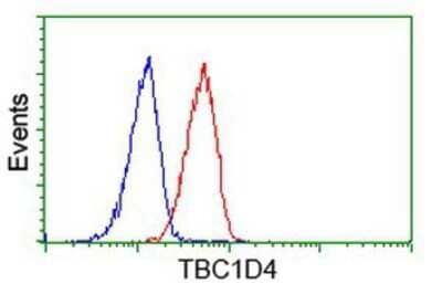 Flow Cytometry: TBC1D4 Antibody (5E6) [NBP2-00597] - Analysis of Hela cells, using anti-TBC1D4 antibody, (Red), compared to a nonspecific negative control antibody (Blue).